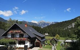 Apartmaji Prezelj